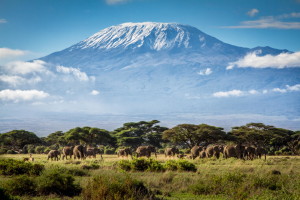 Mt_-Kilimanjaro